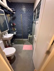 Blk 239 Hougang Street 22 (Hougang), HDB 4 Rooms #540093701